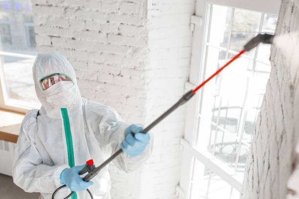 Best Indoor Air Quality Assessment  in Traer, IA