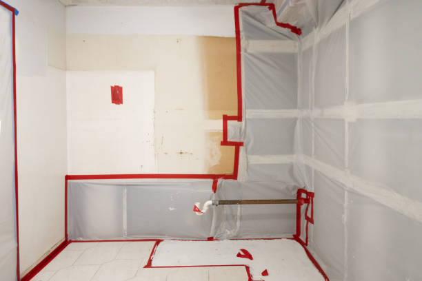 Best Air Quality Testing for Mold Spores  in Traer, IA