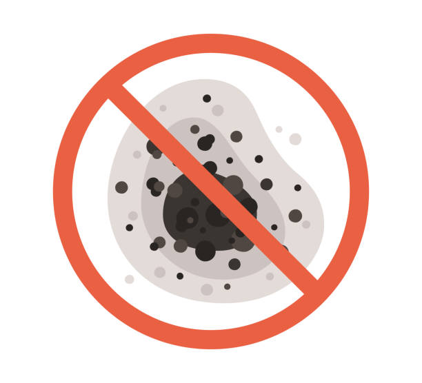 Best Comprehensive Air Testing for Mold Contaminants  in Traer, IA